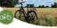 Teaserbild