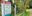Teaserbild