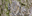 Teaserbild