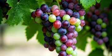 Тизерне зображення