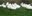 Teaserbild