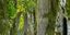 Teaserbild