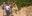 Teaserbild