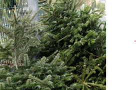 Тизерне зображення