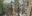 Teaserbild