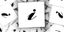 Immagine teaser