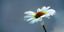Teaserbild
