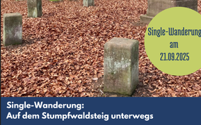 Teaserbild