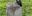 Teaserbild