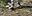 Teaserbild