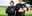 Teaserbild