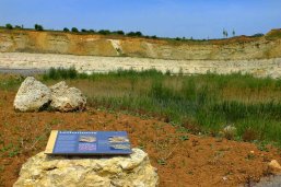 Geopark Badger Mountain