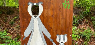 Figurines de blaireaux sur le sentier Dachsi