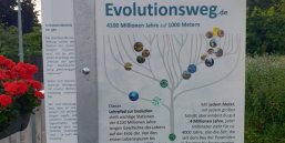 Sentiero avventura di Ottersheim