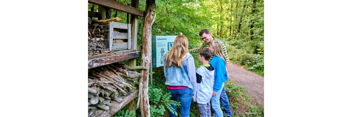 Дерево життя на Дахці Вег