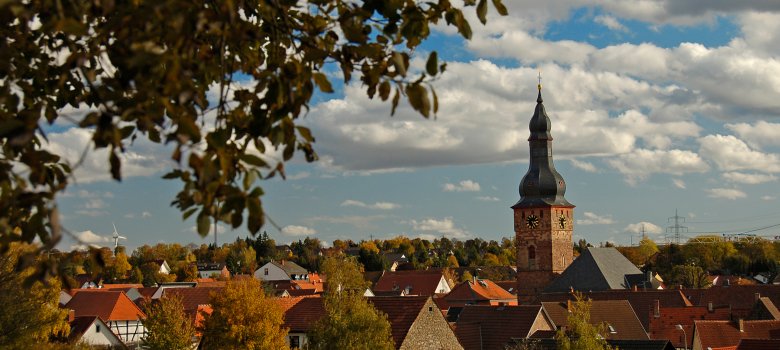 Blick über Göllheim